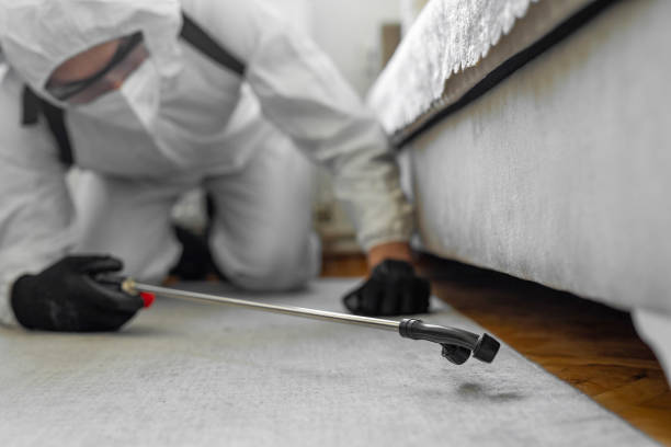 Professional Cockroach Control technician working in Walnut Creek, NC
